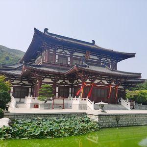 沥青路茶舍中，夏去秋来人已空