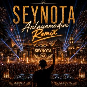 Anlayamadım (Remix)
