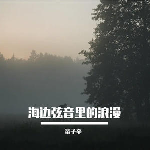 海边弦音里的浪漫