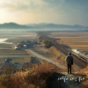 늦게 배운 사랑