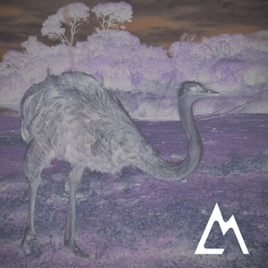 Avestrux