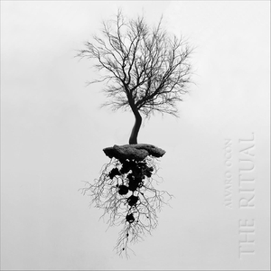 Jaleos (feat. David Gimeno)