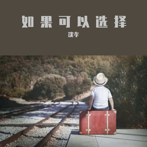 如果可以选择（翻自 杨小壮）