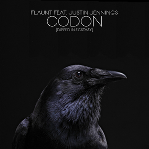 Codon (Dipped In Ecstasy) (4hero Radio Remix)