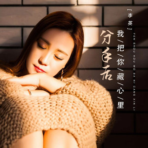 分手后我把你藏心里 (DJ大金版)