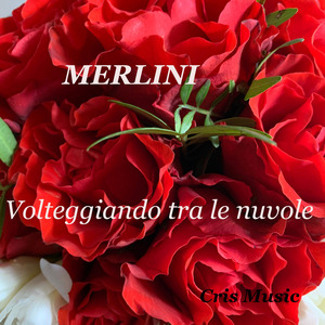 Merlini: Volteggiando tra le nuvole