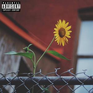 Don't Be Mad (feat. Wav & Tiger Tchakounté)