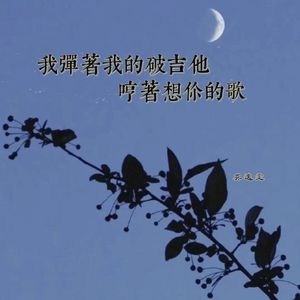 我弹着我的破吉他哼着想你的歌