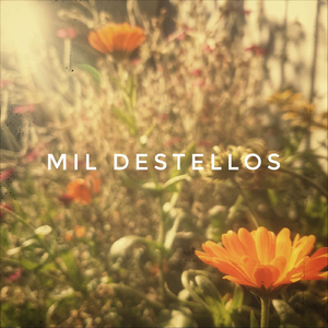 Mil Destellos