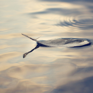 Hydrotropism (Reprise)