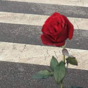 潮落（prod by 毒猫毒猫）