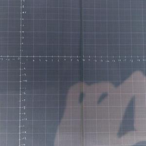 PSYCHOPATHIC (feat. floresence)