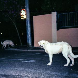 La corsa dei cani (RBN CYPHER) (feat. Colli, TITO SHERPA, Somma Zero, Rakno, TresDeca, Nasty Mike, DOSR, Brattini & Botta OvestRiva)