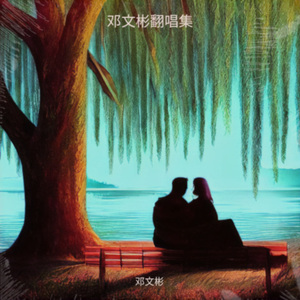 我用一生守护你(和声女版) (Live)