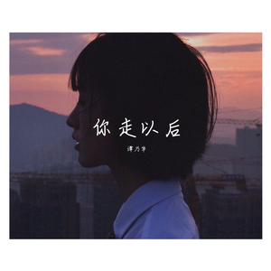 你走以后1.0
