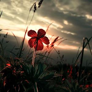 Сделай счастливей (Almaz Remix)