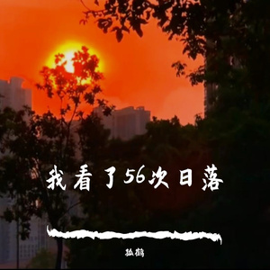 我看了56次日落