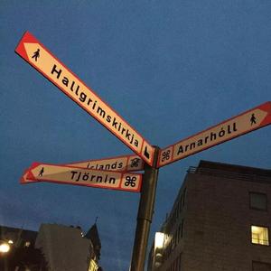 我走后（片段）（翻自 小咪）