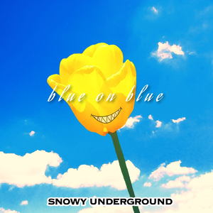 君に会いに行くよ