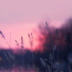 此地无挽歌（翻自 以冬）