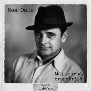 Mai toarnă, crâşmariță