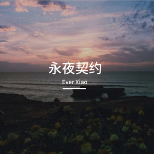 永夜契约