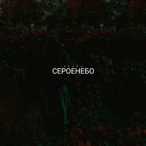 В прозрачной воде