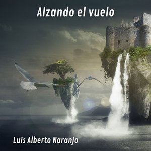 Alzando el vuelo