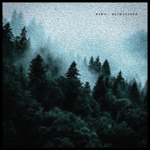 Temperament (Reimagined)