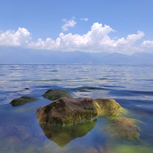 与梦和解