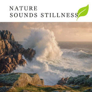 α波を刺激するゆらぎギター 睡眠導入の癒しストレス軽減のリラックス音楽 (自律神経を整える睡眠用 森 鳥)