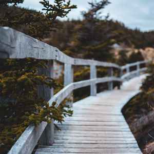 睡前轻音乐：月弯弯 (八音盒)