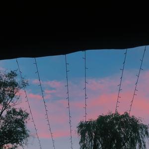 SAMA(prod by August Wu)