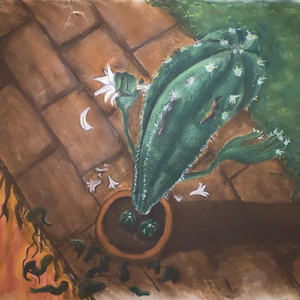 Arriba el Perú Carajo