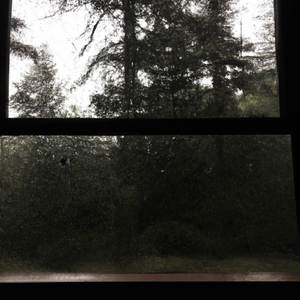 Fallen Down (Slowed + Reverb)