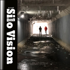 Shame on Me for Loving You