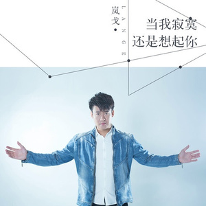 当我寂寞还是想起你