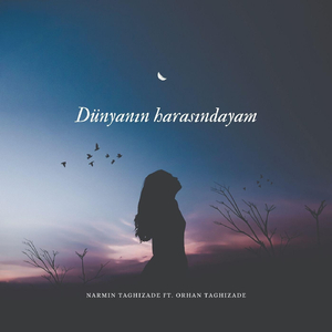 Dünyanın Harasındayam (feat. Orhan Taghizade)