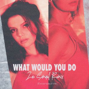 What Would You Do (Zac Samuel Remix) [Radio Edit]