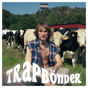 TRAPBÖNDER