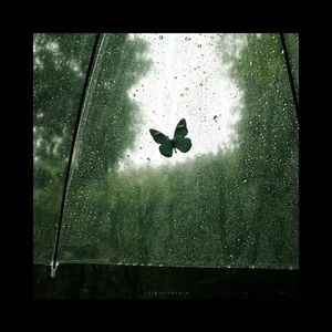 "暴雨" 河南说唱之神 x 罗言 Type Beat