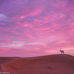 我们终究会牵手旅行（Cover 许飞）