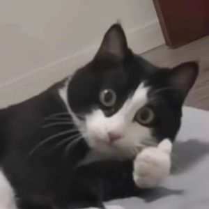 无情画（DJ刘雅松版）(刘雅松热播版)(DJ版)_柚李猫