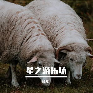 星之游乐场