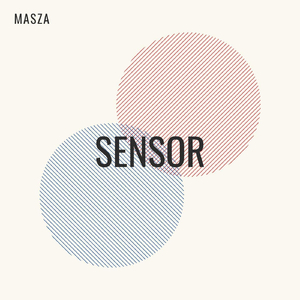 Sensor