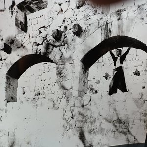 La Rosa en el Jarrón