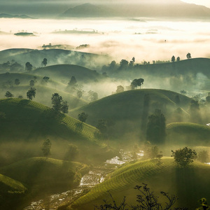 Between the Hills