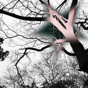 如果爱忘了（x1.2）