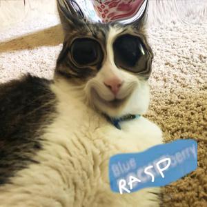 Blueraspberry (Original Single Version)