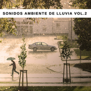 Precipitaciones